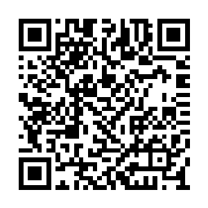 她又怎么会不明白从一开始就是她在伤害苏墨尘二维码生成