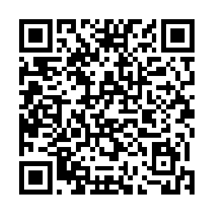 她发现自己的脑海之中竟莫名其妙的传来自己哥哥的声音二维码生成