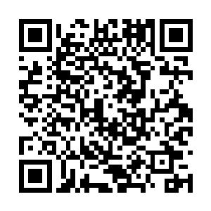 她发现那丝绿色能量竟然能够主动修复身体的创伤二维码生成