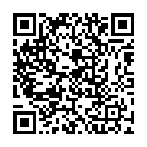 她只是做了她应该做的事情却受到那么多人的感激和注视二维码生成