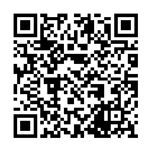 她只是想看看夏云杰怎么帮自己的丈夫把脉看病二维码生成