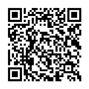 她只知道自己的速度和力量似乎比以前大了很多二维码生成