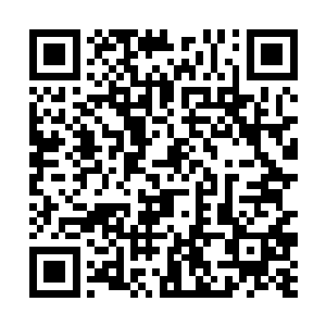 她只能尽量的让自己在这个框子里生活的更舒服自在二维码生成