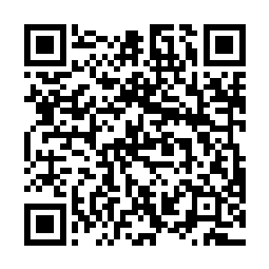 她只能拖着在比泥石流更快的速度用尽全力向山下滚落二维码生成