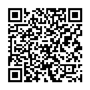 她只需要一个适当的机会出现在定王面前就可以了二维码生成