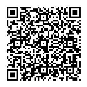 她可不想把自己那些闲书和内阁大学士的藏书放一起……她平日除了看金石品鉴一类的书二维码生成