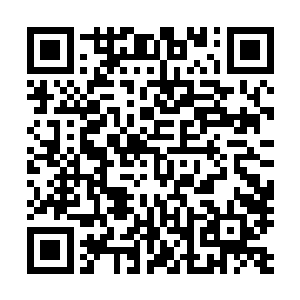 她可不能被人认为自己是冲着给白硫亦当小老婆的目的来的二维码生成