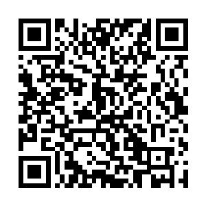 她可以接受我们安排的人成为丈夫和领地的首席执政二维码生成