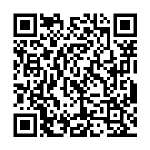 她可以看的出来自己这个丈夫是真心的佩服这个认的弟弟的二维码生成