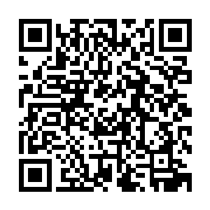 她吃的东西都是由营养专家特别定制然后由放心的厨师做出来二维码生成