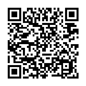 她同时也带了留在她身边的最后三十支女娲二代二维码生成