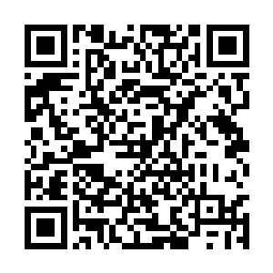 她同时还摸索着使用了强化的五官提高训练的效率二维码生成