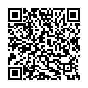 她向我的冬眠药剂中注入了一些特殊的营养成分二维码生成