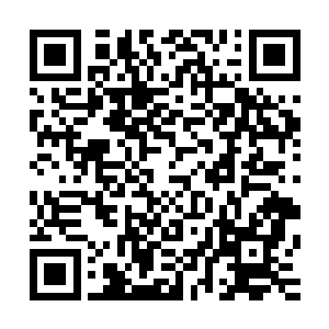 她和燕离两个竟好似前世的动物园关在笼子里的珍稀动物一般二维码生成