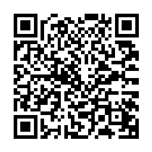 她和苏墨尘商量好从这个周末开始去拉普兰德旅行一周的时间二维码生成