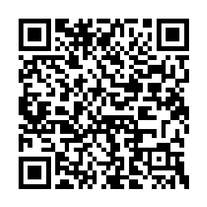 她啊呀一下松开了握着此刻已经变成大叶凡的手二维码生成