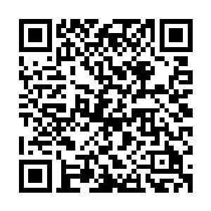 她在定王府受的委屈比她这一辈子十几年受的委屈加起来还要多二维码生成