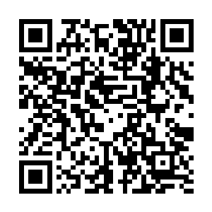 她在思想上更加接近这片大陆的生存法则――弱肉强食二维码生成