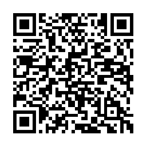 她在楚夫人的清川如镜待的时候不比在兰藻院少二维码生成