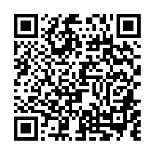 她在私下里也曾听人谈论过三号金令舱室的古怪客人二维码生成