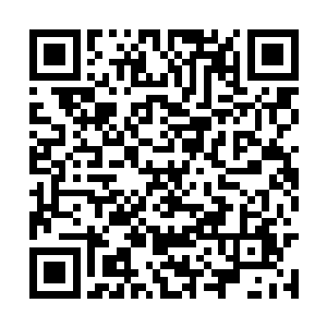 她在面对与她并无直接矛盾利益冲突的九域修士时二维码生成