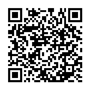 她大概会当场被踏雪无痕墨角腾云兽一巴掌拍死吧二维码生成