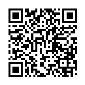 她好不容易将一千多种材料提取出来二维码生成