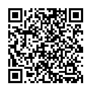 她如果坚决拒绝离开…可她毕竟是决定了放弃心儿二维码生成