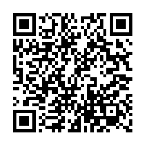 她始终忙忙碌碌记录着各种类型范文的大致框架二维码生成