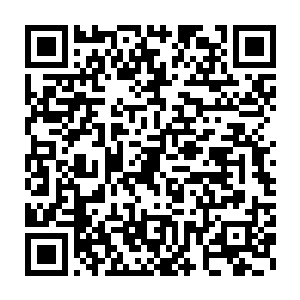 她完全可以拿剪刀剪掉那些比她更长更粗壮的枝干――可是她做不来二维码生成