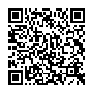 她完全想不到对方能临摹出如此强大的武器之外二维码生成