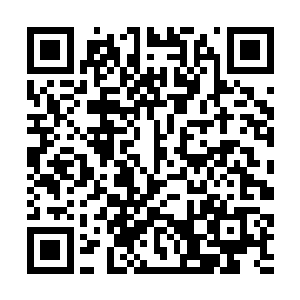 她实在不想再听到这个逗比在自己的耳边唧唧歪歪了二维码生成