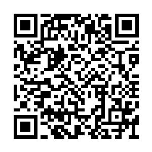 她对正在审读大纲的玛丽露出了一样和气的笑容二维码生成