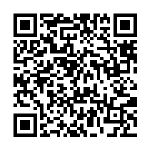 她对自己下那么狠的手都是因为莫小鱼让她那么做的二维码生成