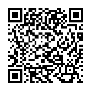 她对苏茜的创建和理解的笔记写了有一份剧本那么厚二维码生成