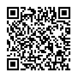 她将一些日常事务全部设定成程序交给傀儡代劳二维码生成