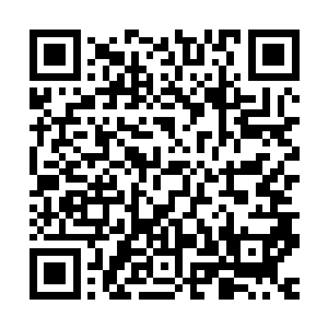 她就只是无法做到像他这样纯粹而专注地面对自己的生活和事业二维码生成