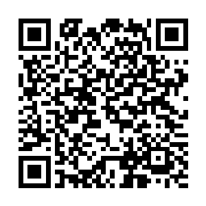 她就可以使用一次预言术来获取马文等人在普森位面的进度二维码生成