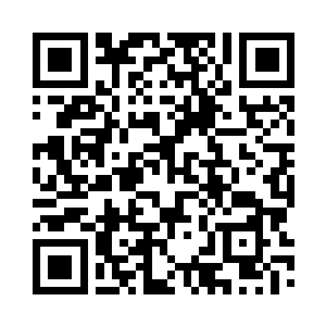 她就安静地坐在棕榈树下的沙滩椅旁二维码生成