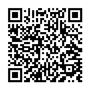 她就快步往前走――其实是在面试的房间里绕圈子――然后二维码生成