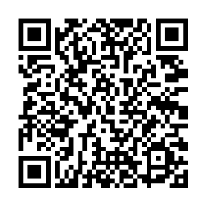 她就是之前喜欢去倾城国际美容院打发时间的扬宗伊二维码生成