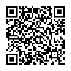 她就知道扒着纪舜英要去小溪边捞那一指长的桃花鱼桃花虾二维码生成