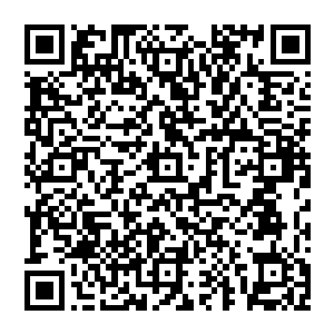 她就算过目不忘把这个世界的书全部背下来也永远都成不了秦筝那样的琴棋书画诗词曲赋样样精通的才女二维码生成