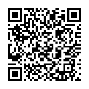 她左手手指拉了拉因为挥拳而让衣袖有些折痕的袖口二维码生成