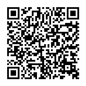 她差点忘了原文里这个时候女主拗不过房东太太的热情同意与她的侄子相亲二维码生成