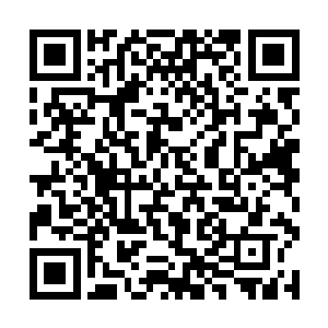 她并不像程远松当日带霍君白上山一般极力卖弄本领二维码生成