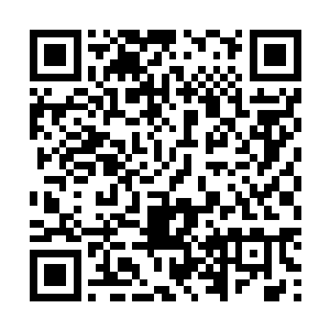 她并不认为张智会忌讳她洪门老大私生女的身份而不杀她二维码生成