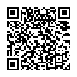 她当然也知道陆为民不可能因为自己而与甘哲翻脸二维码生成