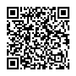 她当然是瞬间成为很多制片公司和经纪公司眼中的大红人二维码生成