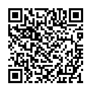 她很好地成为了这次家庭聚会中一个合格的配角二维码生成